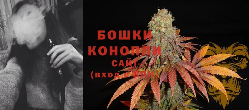 Канабис OG Kush  сайты даркнета формула  Высоцк 